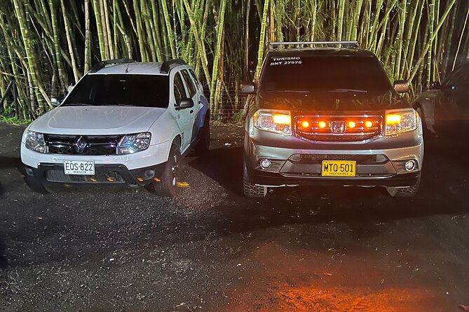 Smooth Airport Transfers With Viator: Stress-Free Travel - Overview and Inclusions