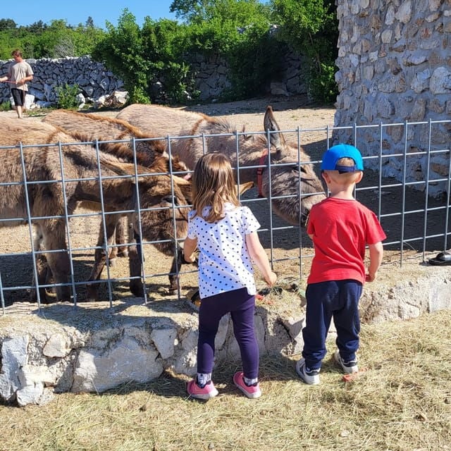 Šmrika (near Rijeka/Krk/Crikvenica) Donkey Farm Entry Ticket - Educational Insights