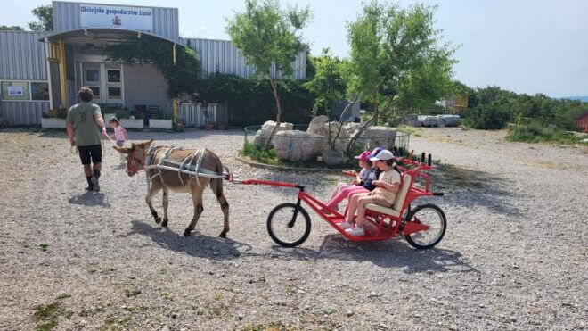 Šmrika (near Rijeka/Krk/Crikvenica) Donkey Farm Entry Ticket - Accessibility Features