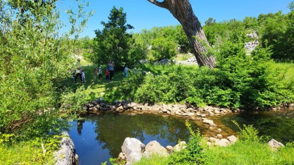 Šmrika (near Rijeka/Krk/Crikvenica) Donkey Farm Entry Ticket - Frequently Asked Questions