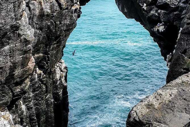 Snaefellsnes Peninsula- Private Guided Tour - Common Questions