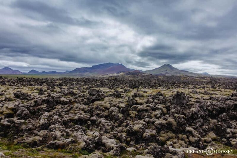 Snæfellsnes peninsula: Small Group tour by van - Who Will Love This Tour?