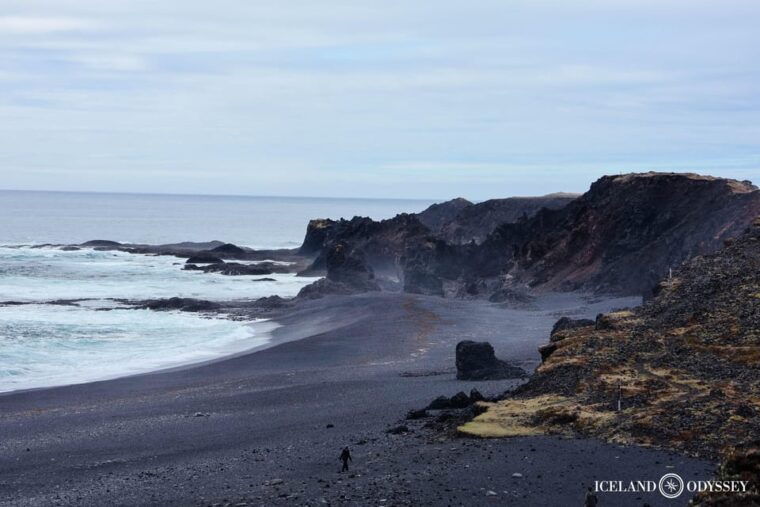 Snæfellsnes peninsula: Small Group tour by van - Who Will Love This Tour?