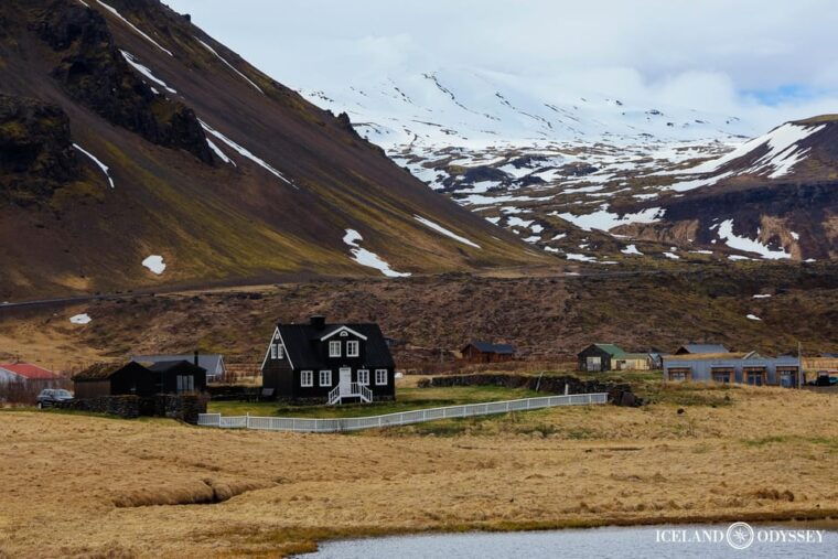 Snæfellsnes peninsula: Small Group tour by van - The Sum Up