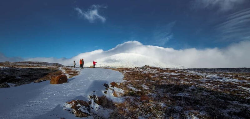Snæfellsnes: Vatnshellir Lava Cave Tour - Who Will Enjoy This Tour?