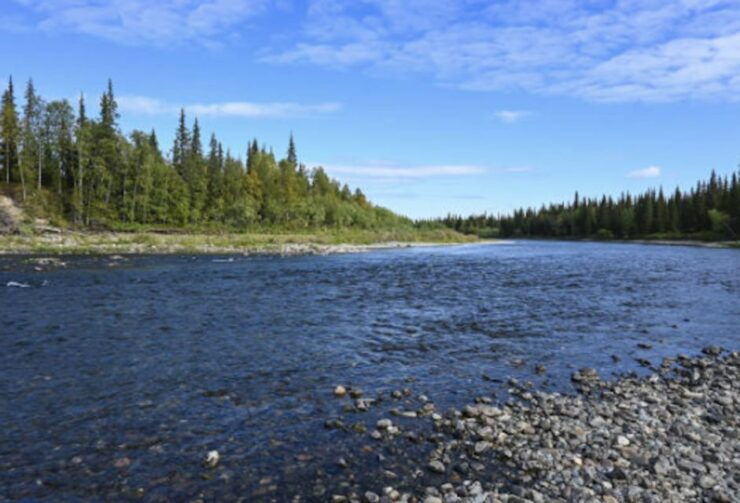 Snake River Full–Day Group Fishing Trip - Booking Details