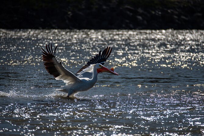 Snake River Scenic Float - Common Questions