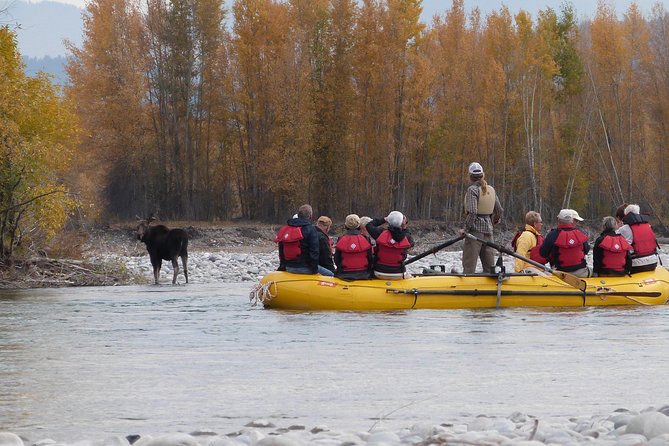 Snake River Scenic Float Trip With Teton Views in Jackson Hole - Tour Overview