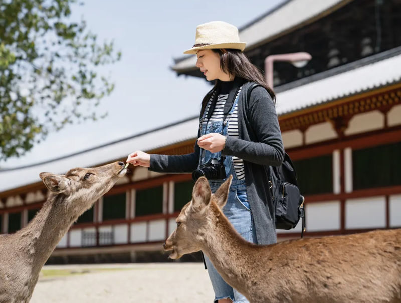 Snap Photography Experience (Nara) - At a glance