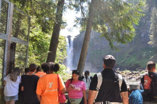 Snoqualmie Falls and Wineries Tour From Seattle - Live Tour Guide and Language Options