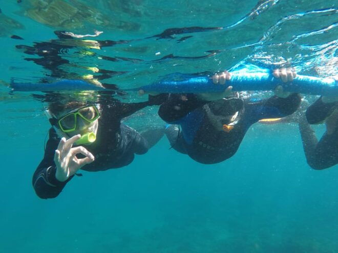Snorkeing in Tenerife Sur: Discovering the Underwater World - Exploring Marine Life