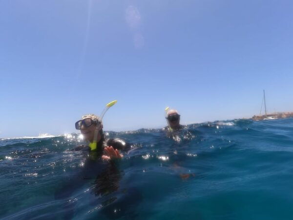 Snorkeing in Tenerife Sur: Discovering the Underwater World - Suitability and Guides