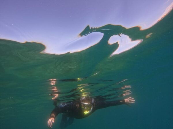 Snorkeing in Tenerife Sur: Discovering the Underwater World - Items to Bring