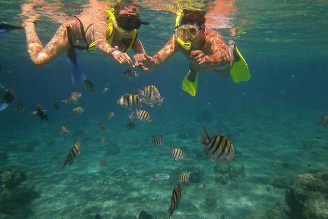 Snorkel Adventure at Cozumel! Transportation from Cancun & Playa Del Carmen - Good To Know