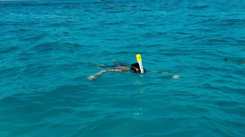 Snorkel Adventure for All Ages in Cancun 2.5 hrs - What to Expect from the Cancun Snorkel Adventure