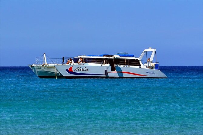 Snorkel Adventure From Kawaihae Harbor - Tour Highlights