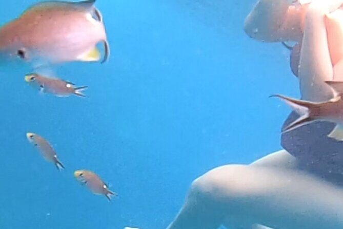 Snorkel Adventure in Marietas Islands or Punta Mita Reefs - FAQ