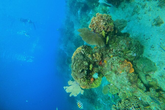 Snorkel Along the Coast, Explore Two Reefs by Chivis Del Mar - Snorkeling Experience