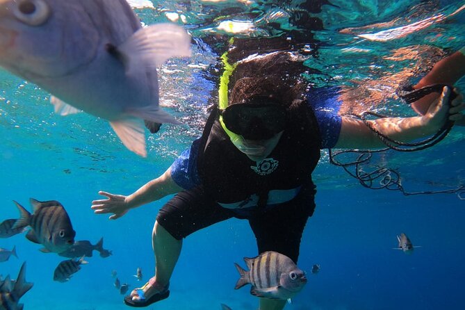 Snorkel Along the Coast, Explore Two Reefs by Chivis Del Mar - Underwater Exploration