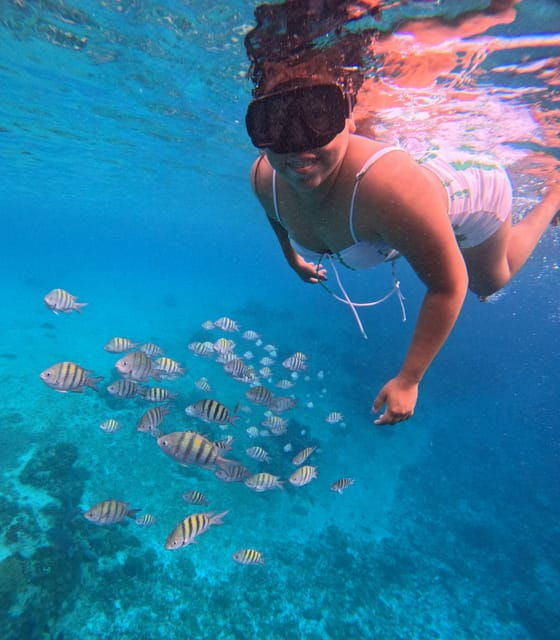 Snorkel Along the Coast With Chivis Del Mar. - Included Equipment and Amenities