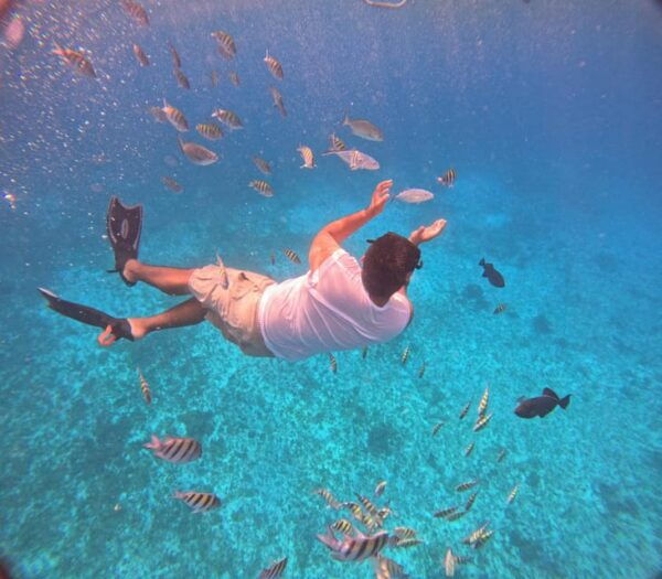 Snorkel Along the Coast With Chivis Del Mar. - Exploring Coral Formations and Marine Life