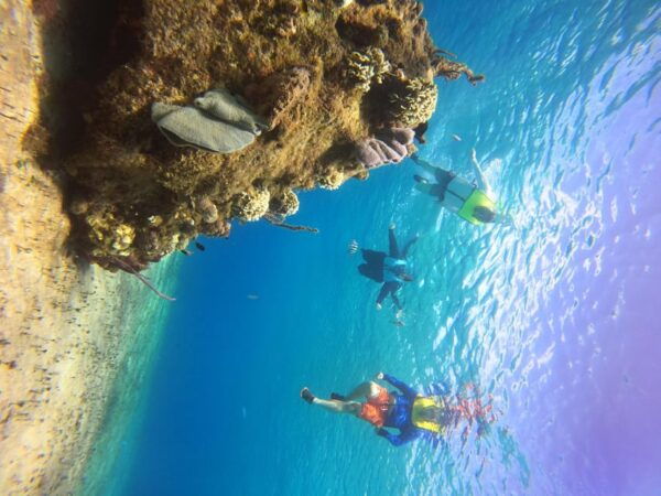 Snorkel Along the Coast With Chivis Del Mar. - Bilingual Guide Expertise