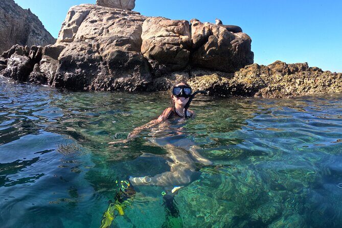 Snorkel and arch tour in los cabos - An In-Depth Look at the Los Cabos Snorkel and Arch Tour