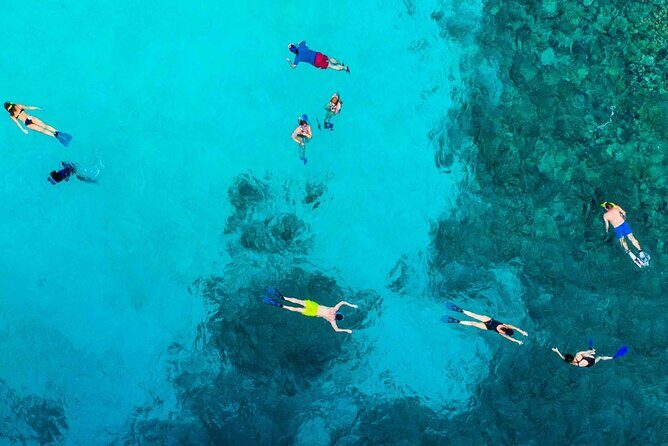 Snorkel and arch tour in los cabos - Who Will Love This Tour?