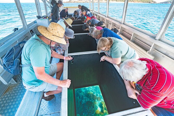 Snorkel and Boomnet Experience - Adventure Tour at Keppel Island - Traveler Photos and Reviews