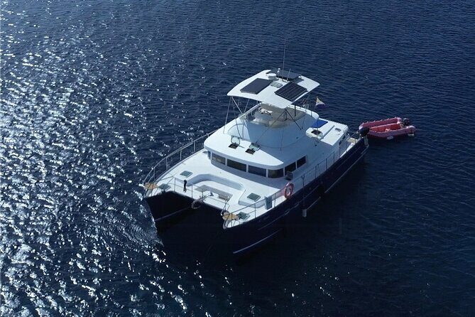 Snorkel and Brunch Tour Explore Bonaire's Underwater Paradise - Who Is This Tour Best For?