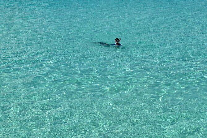 Snorkel and Cruise Half Day Morning on Serendipity - What Makes This Tour Stand Out?