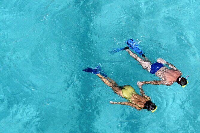 Snorkel and Cruise Half Day Morning on Serendipity - Who Should Consider This Tour?