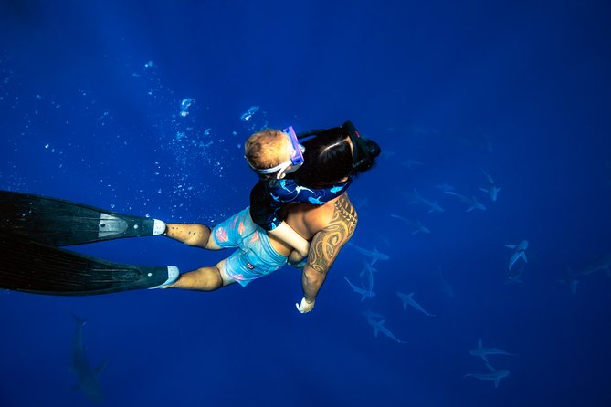 Snorkel and Dive With Sharks in Hawaii With One Ocean Diving - Common Questions