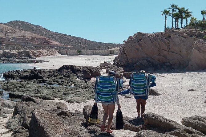 Snorkel and Hidden Beach Day Trip With Marine Biologist  - Cabo San Lucas - Traveler Reviews and Testimonials
