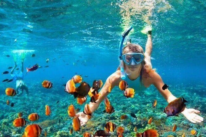 Snorkel and Private Tour in Montego Bay - Discover the Wonders of Montego Bay with a Private Snorkel Tour