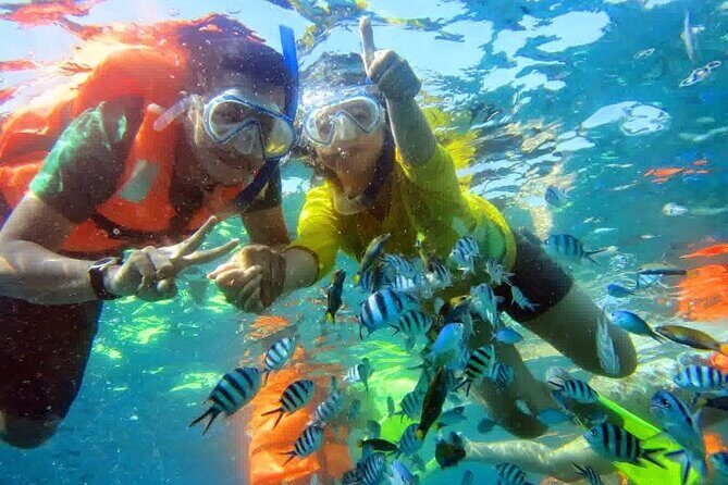 Snorkel and Private Tour in Montego Bay - FAQ