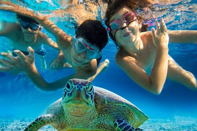 Snorkel and Sunset Cruise from Margaritaville Resort - The Group Dynamics and Practicalities