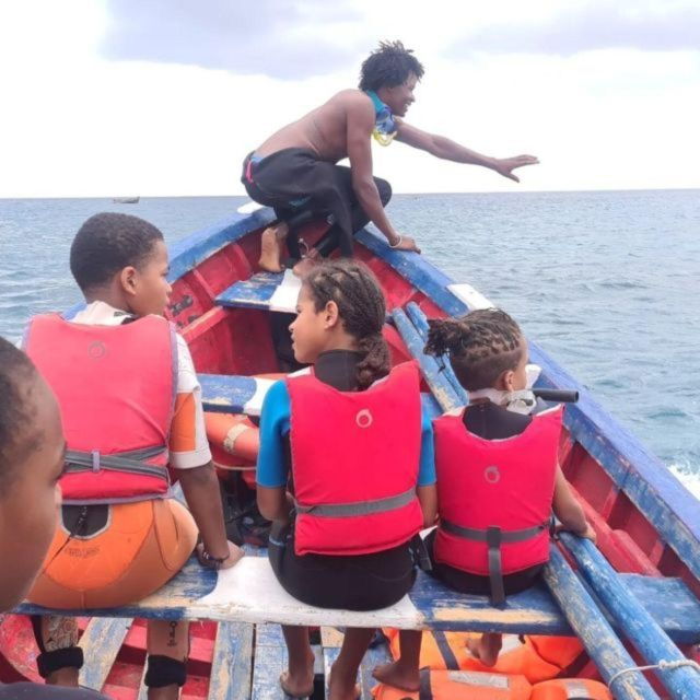 Snorkel and Swim With Sea Turtles - Inclusions and Pickup Details