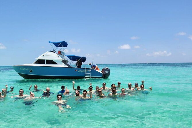 Snorkel and Swimming with Whale Shark in Cancun - What to Expect from the Tour: A Full Breakdown