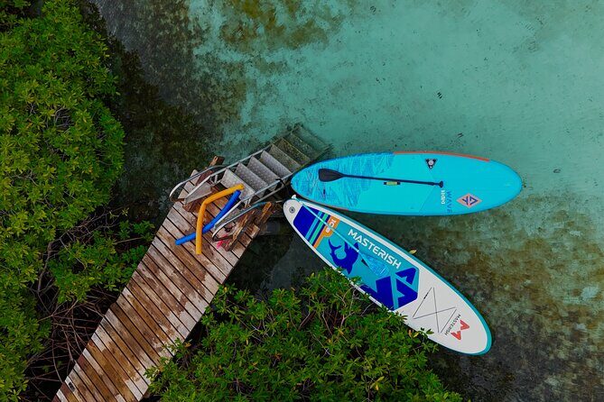 Snorkel Aruba's Vibrant Waters and Serene Mangroves Private Tour - Why This Tour Is a Great Value