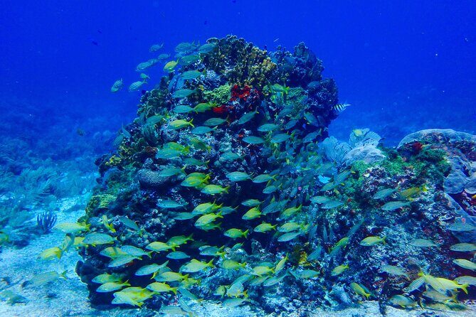 Snorkel at El Farito - The Lighthouse Reservation - Final Thoughts: Is It Worth the Price?