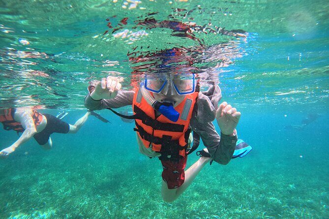 Snorkel at the Reef 2 HOURS Puerto Morelos National park - Good To Know