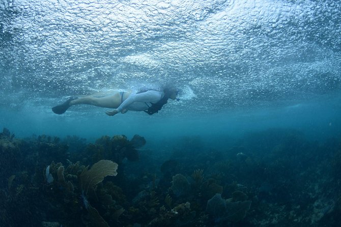 Snorkel, ATV, Zipline and Cenote Adventure From Cancun - Food and Portion Sizes