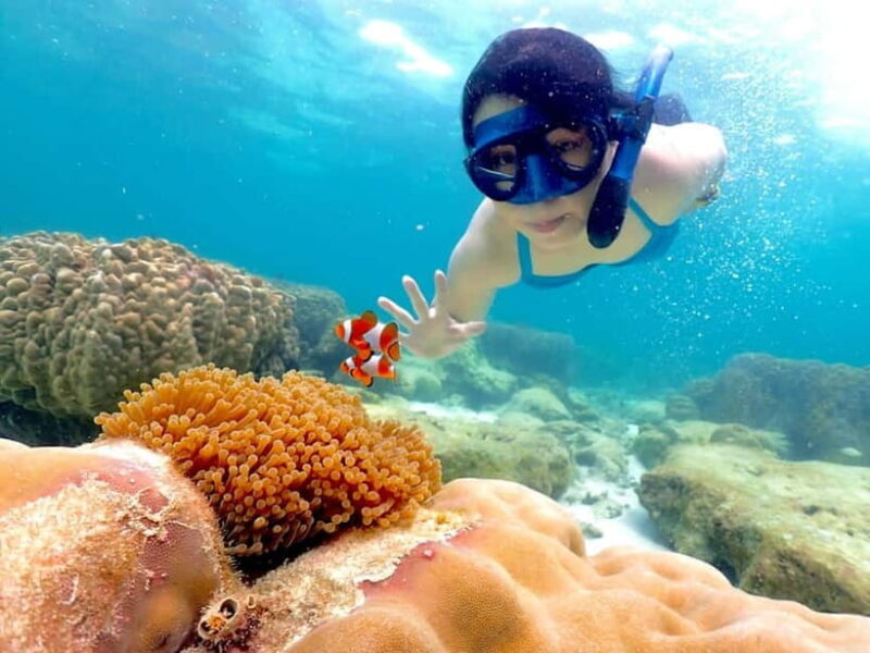 Snorkel & Chill: Nemo Island Trip from Pattaya - An Honest Breakdown of the Nemo Island Experience