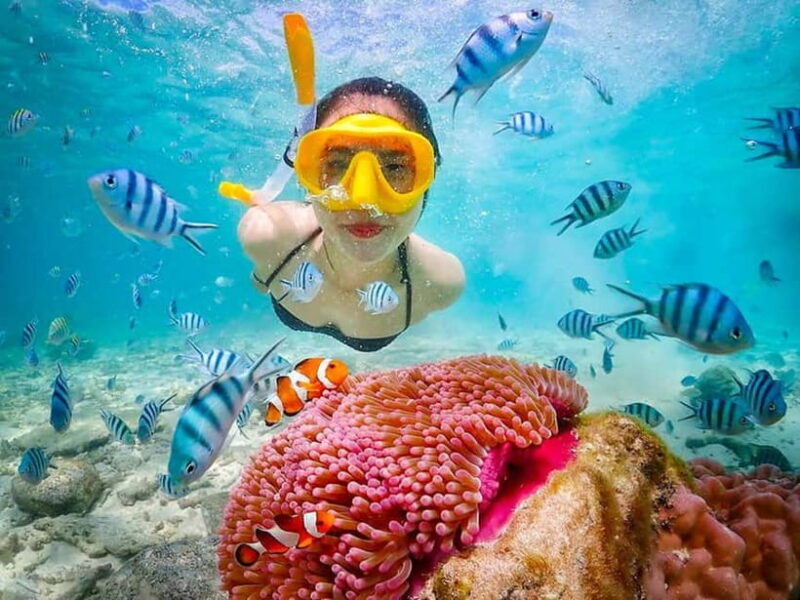 Snorkel & Chill: Nemo Island Trip from Pattaya - Who Will Love This Tour?