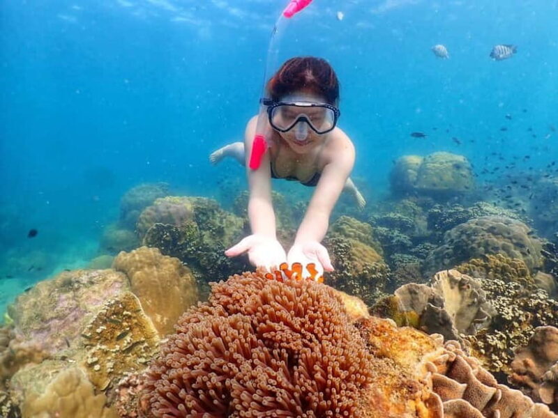 Snorkel & Chill: Nemo Island Trip from Pattaya - The Sum Up