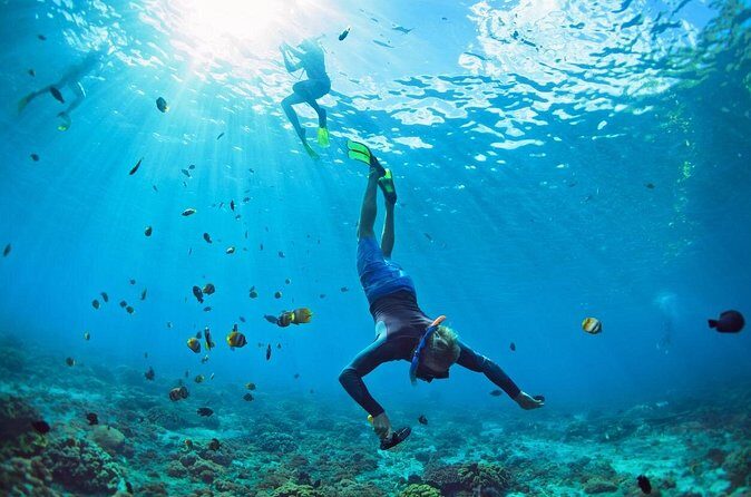 Snorkel Cruise Private Tour to Underwater Sculptures in Grenada - FAQs