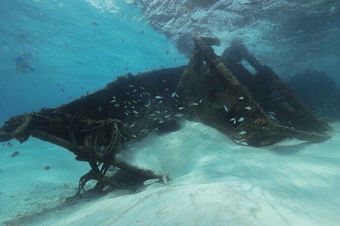 Snorkel Experience In Cancun! Reef and Sunken Ship - What to Expect from the Cancun Snorkel Tour