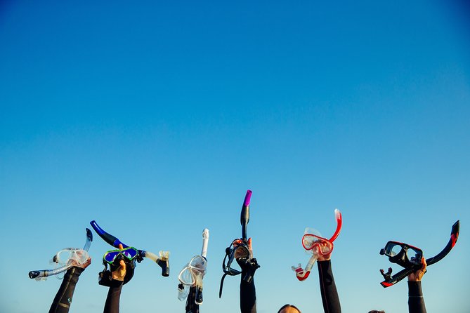 Snorkel Experience in Lanzarote - What To Expect on the Snorkeling Tour