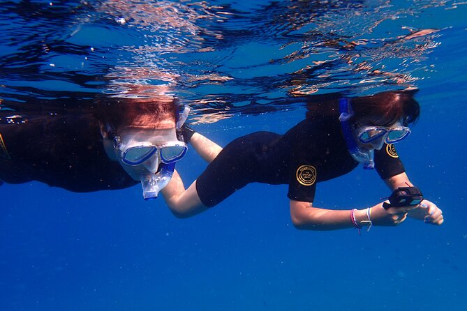 Snorkel Experience in Lanzarote - Common Questions